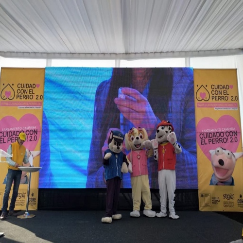 imagenes animaciones infantiles
